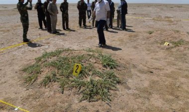 الدفاع والخارجية تطلقان دعوة للمواطنين مقابل "مكافأة مالية"